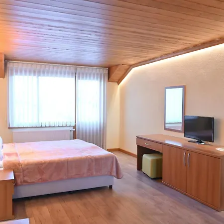 гранит ゲストハウス 3*