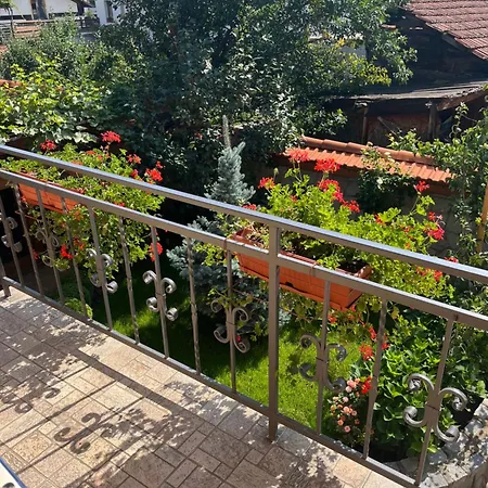 Pensionat гранит 3*